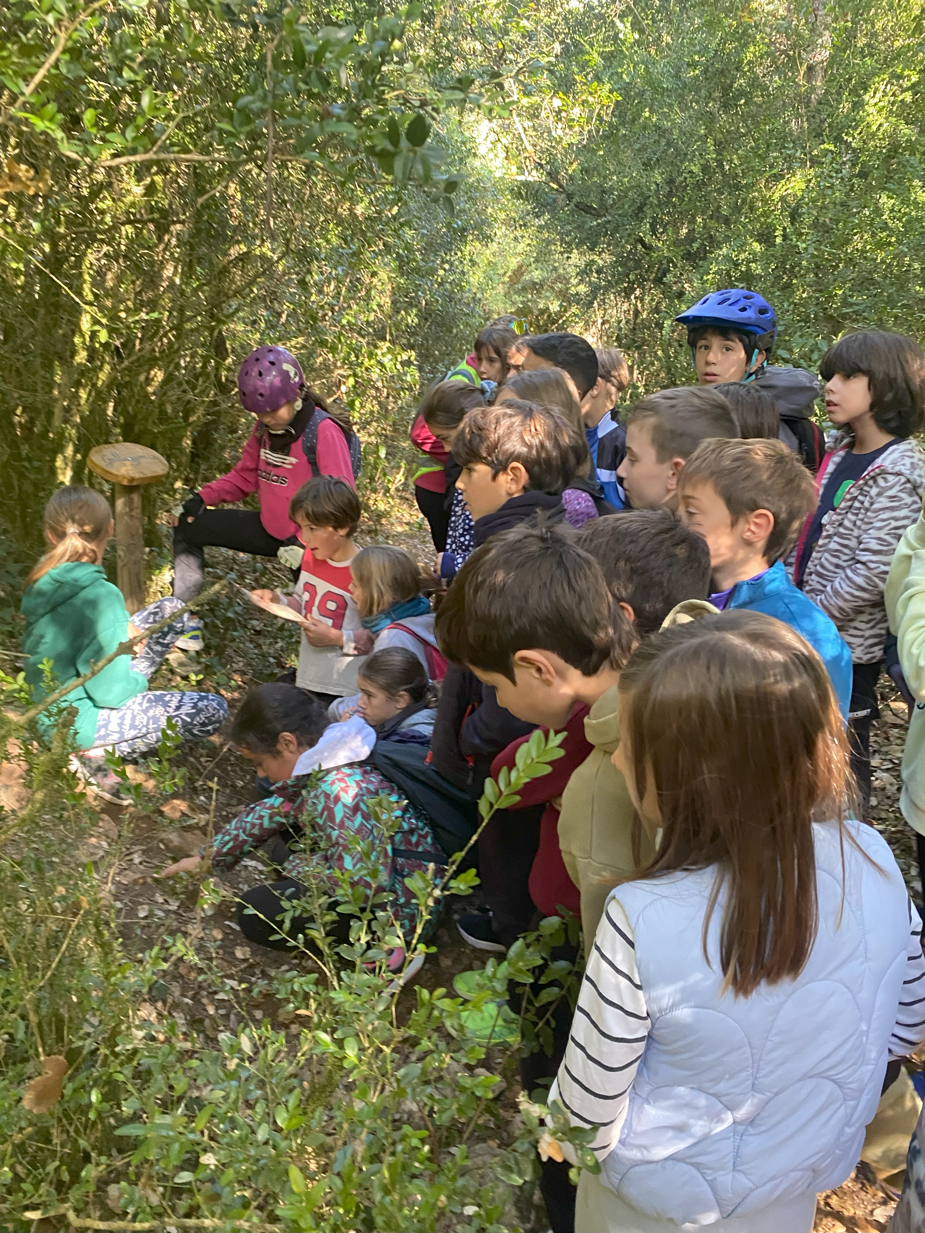 Buenos días familias,  El pasado viernes, fuimos con nuestras bicis a visitar el pueblo de Acedo y la Senda Mitológica que hay cerca de Zúñiga. Gracias a esta excursión, pudimos conocer uno de los cines más antiguos de nuestra zona y seguir aprendiendo sobre la mitología que tanto estamos trabajando y disfrutando en clase. 